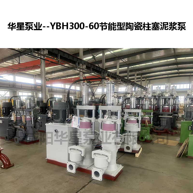 柱塞節(jié)能輸送泵